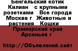 Бенгальский котик Килиан , с крупными розетками - Все города, Москва г. Животные и растения » Кошки   . Приморский край,Арсеньев г.